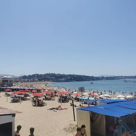 Eche-pherdea 圣让－德吕兹