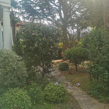 Eche-pherdea 圣让－德吕兹