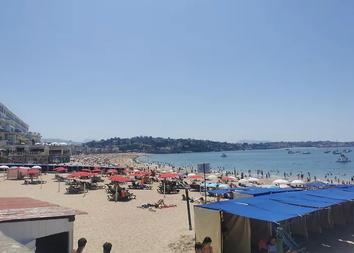 Eche-pherdea Saint-Jean-de-Luz