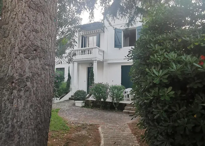 Eche-pherdea 圣让－德吕兹