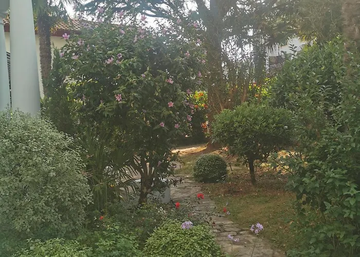 Eche-pherdea 圣让－德吕兹